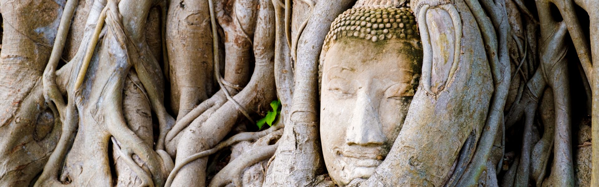 Guia de viagem e dicas para Ayutthaya