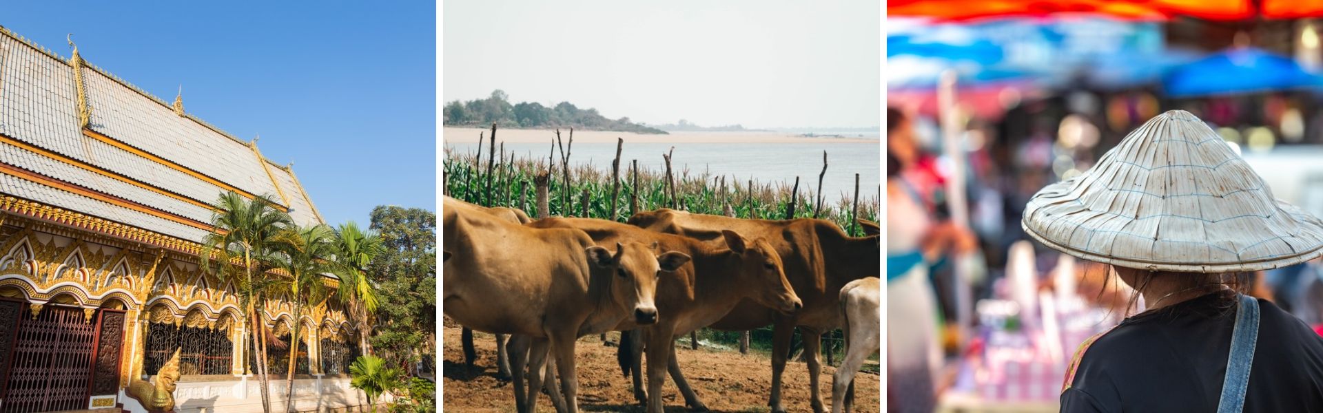 O que ver e fazer em Pakse, Laos