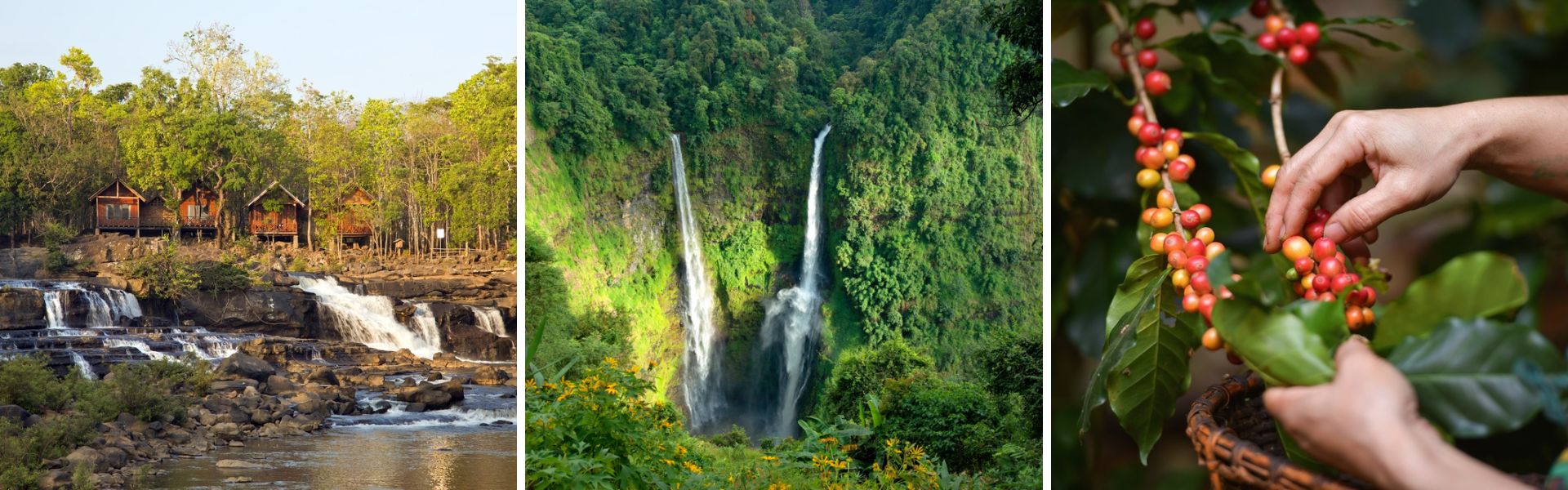 O que ver e fazer em Planalto Bolaven, Laos