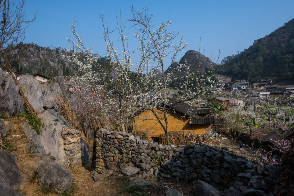 Planalto rochoso Dong Van ha giang