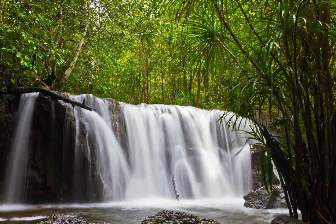 suoi tranh phu quoc